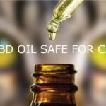 The Real Truth About CBD for Cats: What You Actually Need to Know