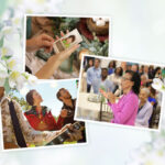 celebration of life: Meaning, Planning, and What to Expect