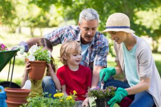 How to Start a Garden: A Beginner’s Guide to Growing Your Own Food and Flowers