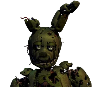 The Ultimate Guide to the Spring Trap Animal Device