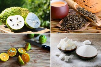 15 Health Benefits of Soursop Leaves: What You Need to Know