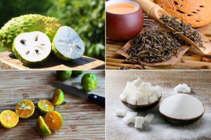 15 Health Benefits of Soursop Leaves: What You Need to Know
