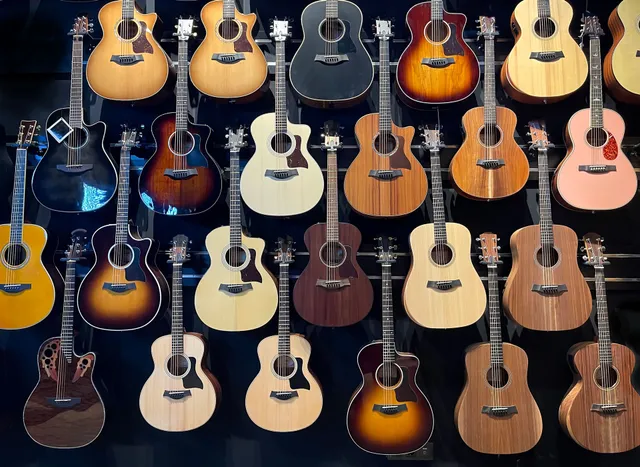 down for a second. Buying the instrument is just the entry fee. To actually enjoy playing the thing, you need the right guitar accessories