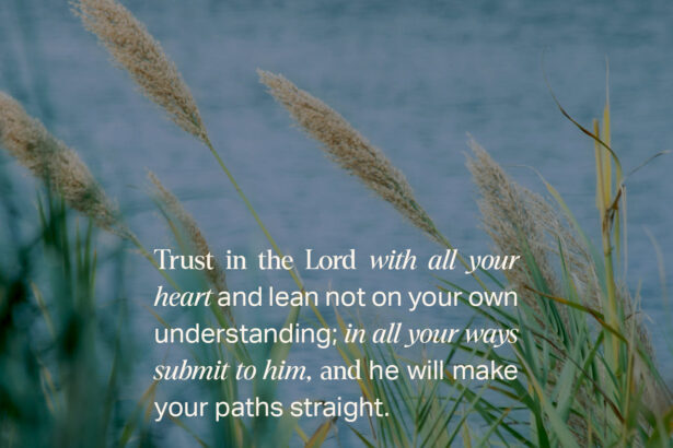 Proverbs 3:5-6 Explained: What It Really Means to Trust God With All Your Heart