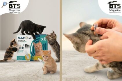 Best Dog Toys for Chewers: What Actually Works and Why Your Dog Will Love Them