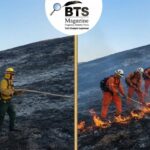 Canyon Fire: Everything You Need to Know About California's Deadly Wildfires