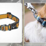 Crag Reflective Collar: A Complete Guide to Features, Benefits, and Choosing the Right One