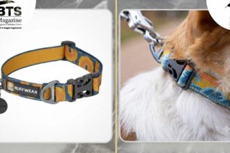 Crag Reflective Collar: A Complete Guide to Features, Benefits, and Choosing the Right One