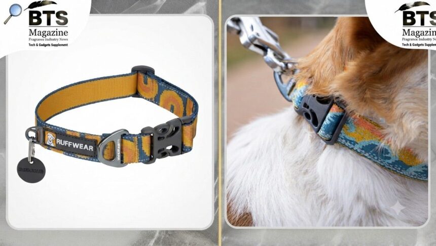 Crag Reflective Collar: A Complete Guide to Features, Benefits, and Choosing the Right One