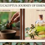 Eucalyptus Oil: Benefits, Uses, Safety Tips, and Everything You Should Know