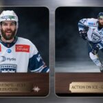 AV19 – Everything You Need to Know About Fehérvár AV19 and Their Ice Hockey Legacy