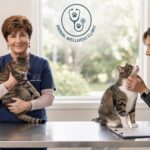 Donna Sicuranza: Powerful Story You Need to Know