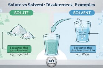 Musol Solvent vs Other Solvents: Key Differences Explained