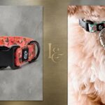 Lucy & Co. Unicorn Magic Dog Collar: Is It Worth It?