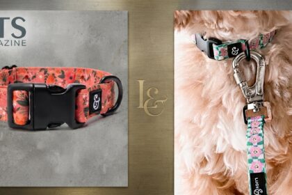Lucy & Co. Unicorn Magic Dog Collar: Is It Worth It?