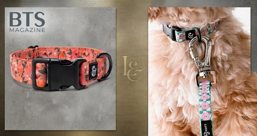 Lucy & Co. Unicorn Magic Dog Collar: Is It Worth It?