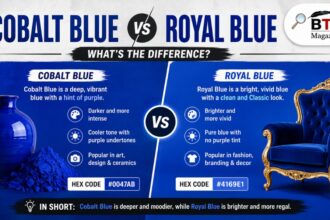 Cobalt Blue vs Royal Blue: What’s the Difference?
